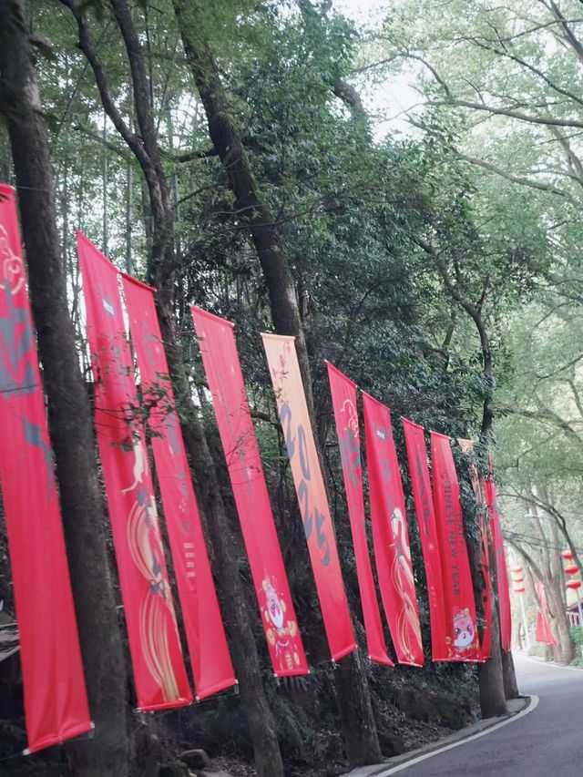 打卡重慶「後花園」！景色真係好唔錯～