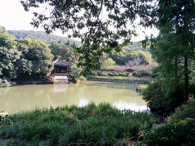 Exploring Wenzhou Secrets as Visa Free Transit Visitor: Now Even More Convinient