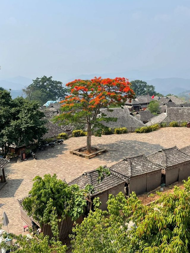 寒假普洱3日遊 美景盡收眼底