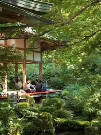 京都納涼一日遊本地人推薦小眾寶藏路線