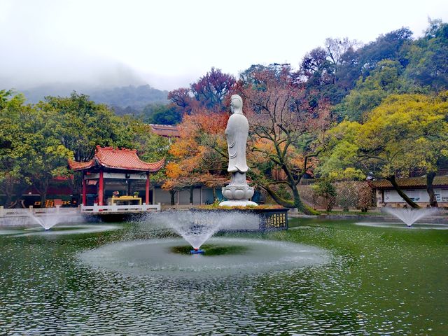 閩剎之冠