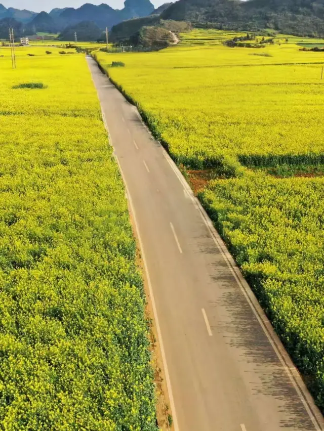 解鎖雲南限定美景，邂逅小眾花海