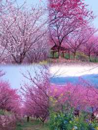 接下來一個月，呢個公園就快靚到封神！