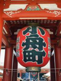 週末3日東京賞櫻攻略