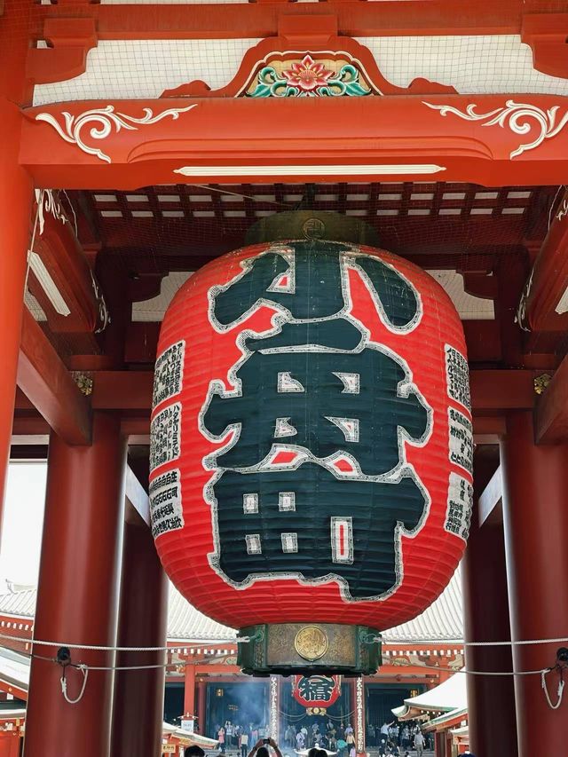 週末3日東京賞櫻攻略