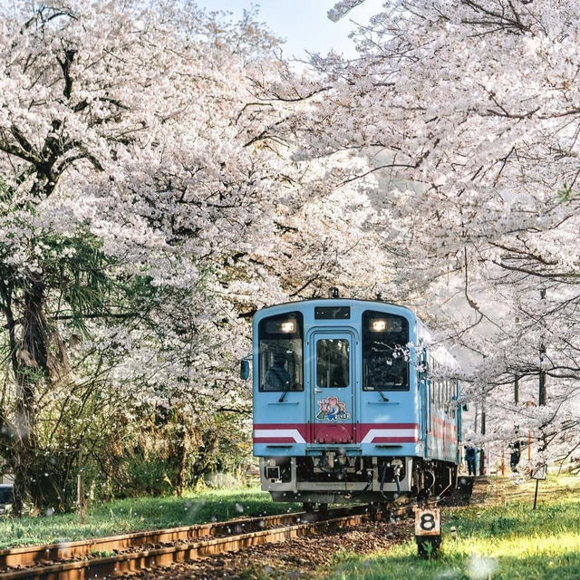 🌸名古屋 | 原以為嵐山電車已美極，直至我來到這裡…