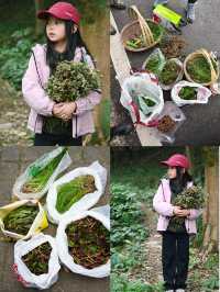 成都周邊9個打野菜好地方週末戶外好去處