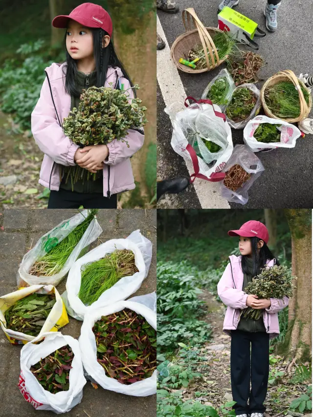 9 Great Foraging Spots Around Chengdu: Weekend Outdoor Escapes