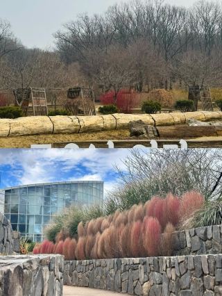 Bucheon | A Hidden Romantic Gem in South Korea