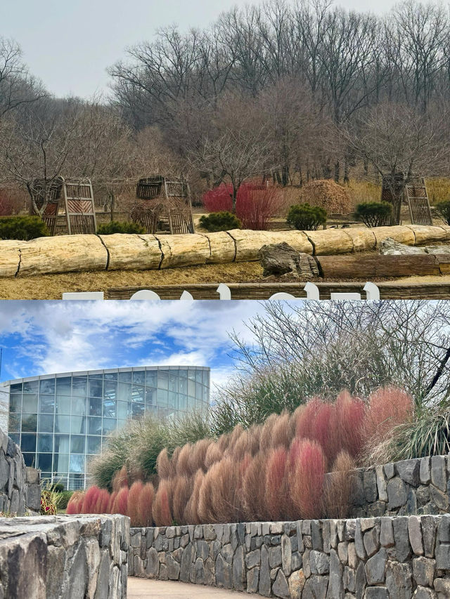 富川市 | 韓國小眾寶藏浪漫旅行地