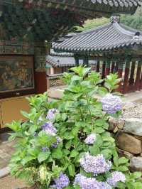 光州無等山國立公園藏着整個韓國的浪漫故事