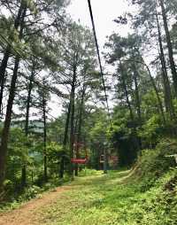 光州無等山國立公園藏着整個韓國的浪漫故事
