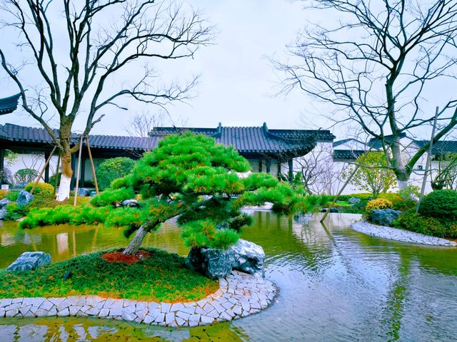 嘩！闖進江西版莫奈花園——巴夫洛油菜花海