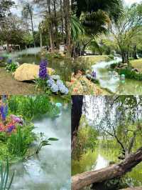 春日踏青賞花，深圳羅湖呢條路線真係超級治癒