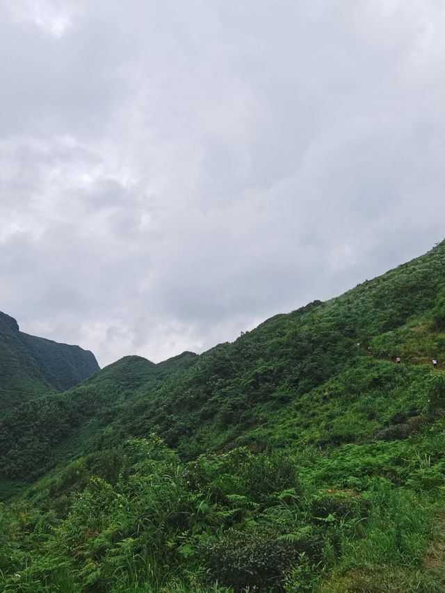 小長假黔東南-貴陽-遵義行 看我吐血整理必備攻略