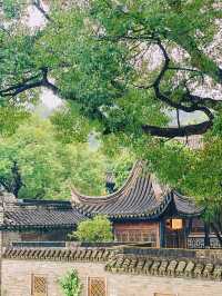 中山旅遊必備攻略（超齊全）