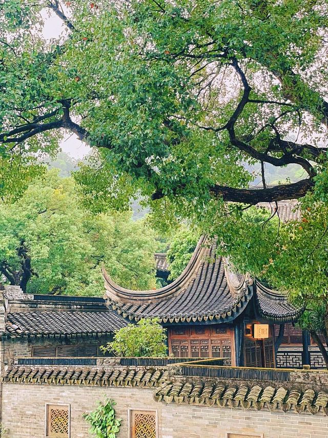 中山旅遊必備攻略（超齊全）