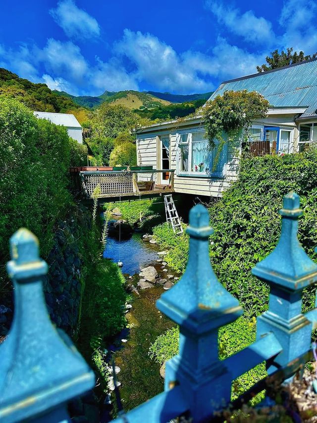 新西蘭阿卡羅阿，誤入南半球的法式童話鎮，這趟旅行我服了