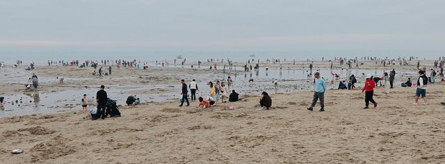 北海觀海