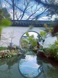 醉白池—松江小眾探尋春季之旅