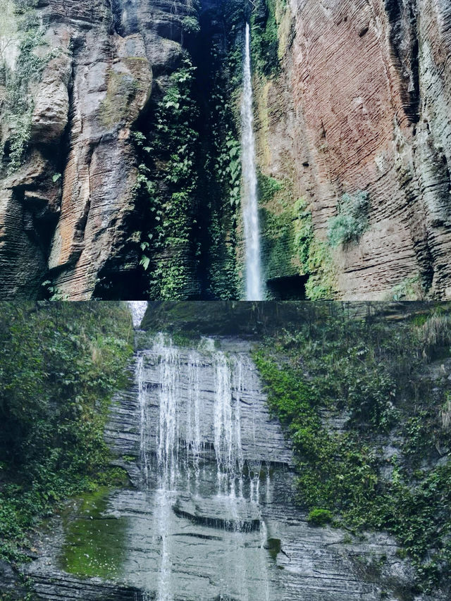 眾人皆赴海  唯我獨向山