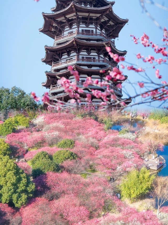 湖南超齊全旅遊攻略