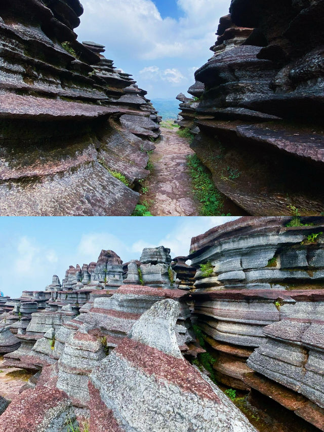 湘西秘境 紅石林  億萬年前的海底世界