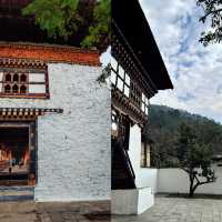 以下是一份旅遊攻略，希望能助你擁有一段美好的不丹延布之旅：