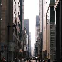 東京塔週邊暢玩攻略！附淺草寺等打卡地