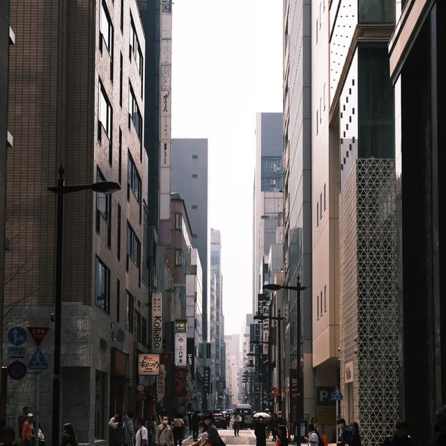 東京塔週邊暢玩攻略！附淺草寺等打卡地