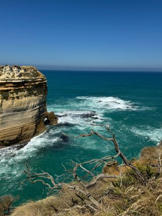 3-Day In-Depth Australian Adventure: My Personal Travel Guide