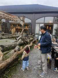 湖州長頸鹿莊園：和寶貝共赴一場長頸鹿早餐奇遇