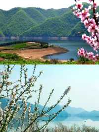 綠野尋芳·春遊白山，3條寶藏級春遊路線等你嚟