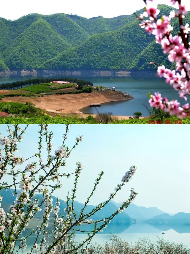 綠野尋芳·春遊白山，3條寶藏級春遊路線等你嚟