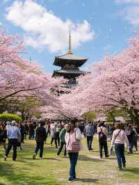 奈良櫻花四日遊：古都賞櫻全攻略