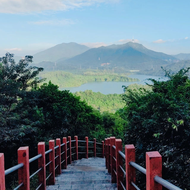 深圳淘金山綠道：穿梭綠道山林，一日徒步攬勝