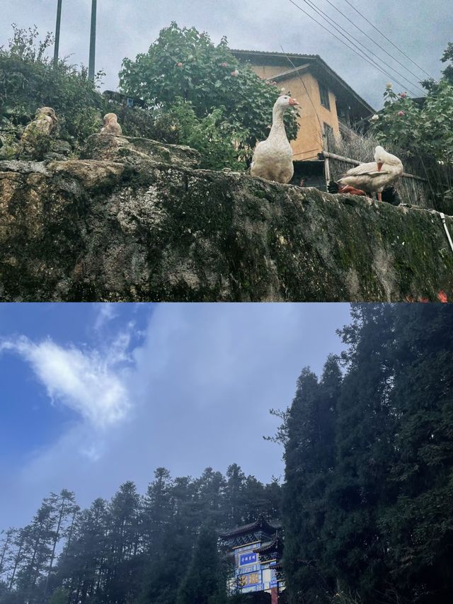 宜春明月山，浸溫泉賞美景