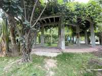 陽春名樹公園｜走進植物的日常，也走進自己心裡的小森林》