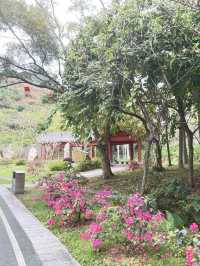 ☕️🍽️ 早茶過後的環湖小旅程 · 陽春東湖漫步記 🚶‍♂️🌿🌊