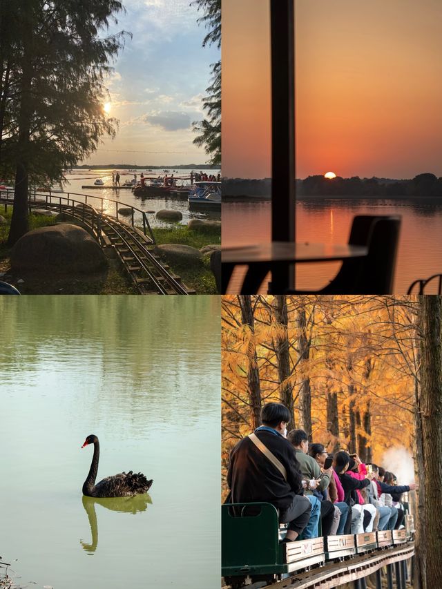 邂逅蘭湖：尋夢詩意水鄉，解鎖春日浪漫