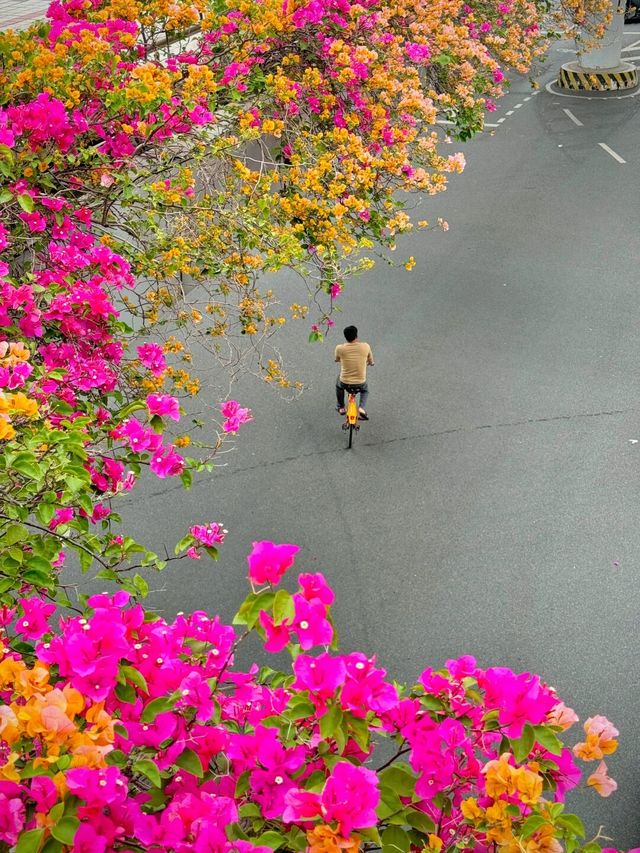 泉州3天2夜精華攻略