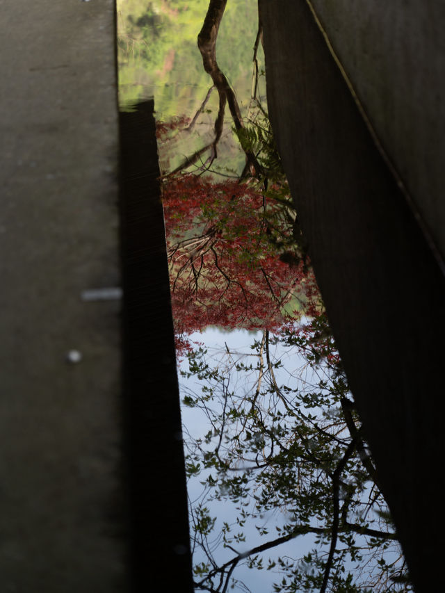 私藏臨安絕色山水酒店｜杭州·明月松間·潛川