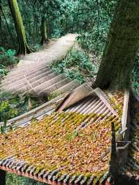 深山古剎，高僧遺蹟，手寫匾額