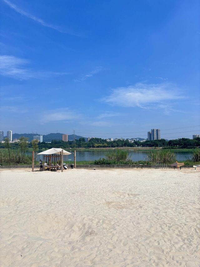 石岩湖濕地公園 | 環湖徒步騎行天花板