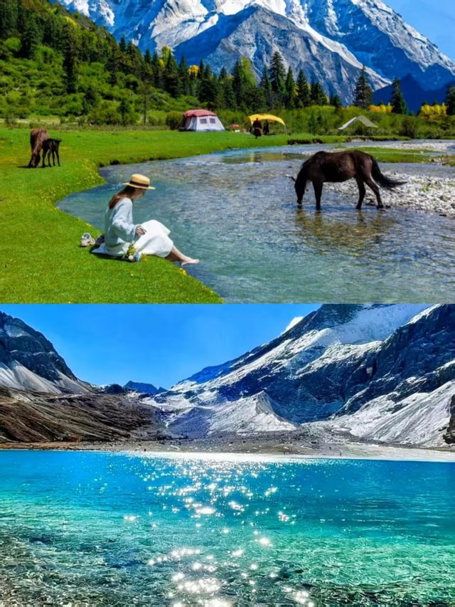 夏天的川西永遠不缺生命力