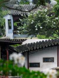 蘇州網師園 | 小眾寶藏園林，邂逅江南詩意