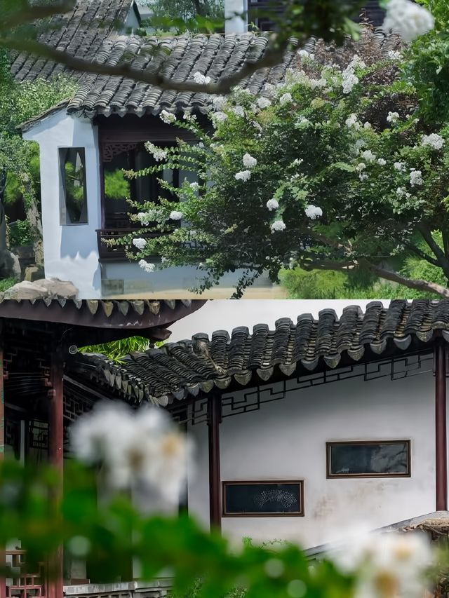 蘇州網師園 | 小眾寶藏園林，邂逅江南詩意