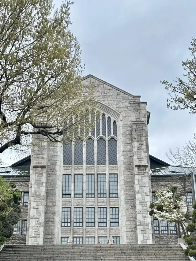 Youthful Campus and Streets