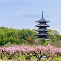 我在大阪岡山，找到了靈魂深處的棲息地 