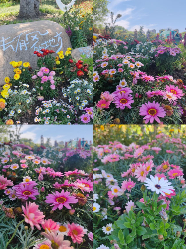 常州五一期間的賞花攻略